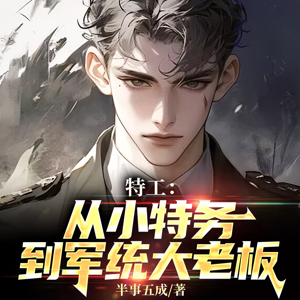 特工：从小特务到军统大老板
