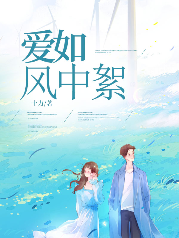 爱如柳絮你如风小说